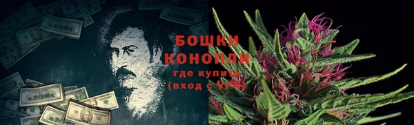 сатива Богородицк
