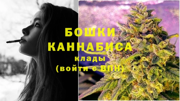 сатива Богородицк