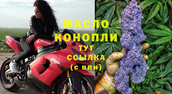 сатива Богородицк