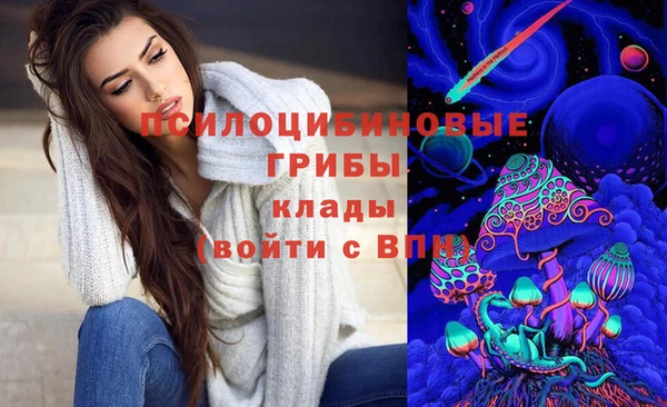 сатива Богородицк